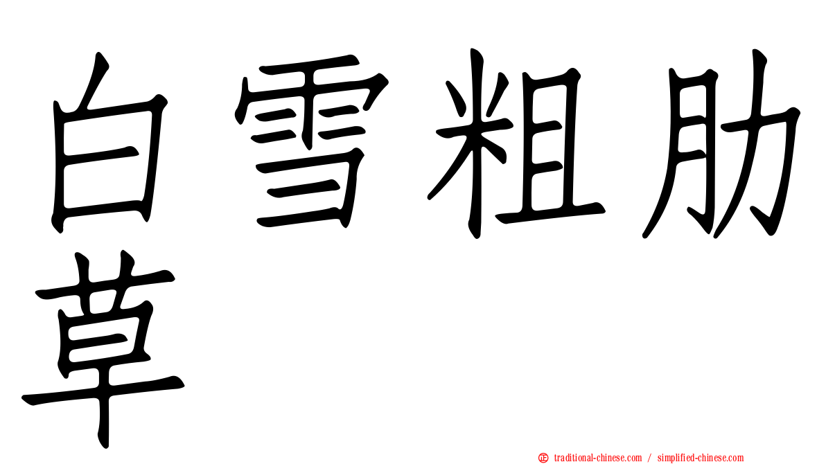 白雪粗肋草