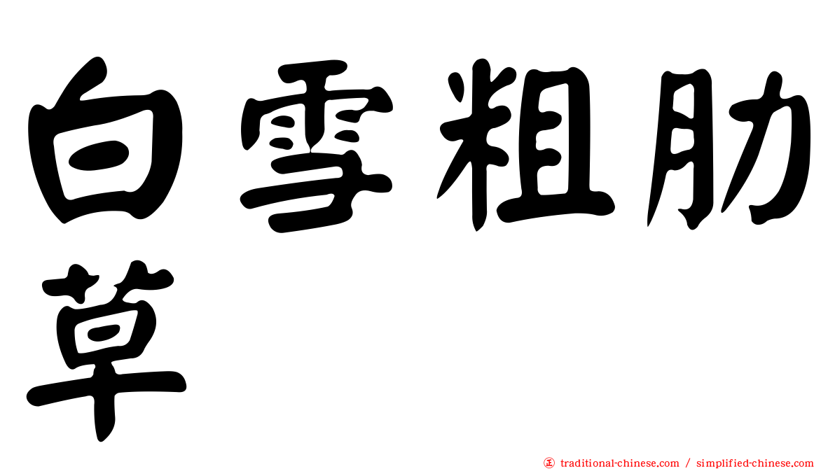 白雪粗肋草