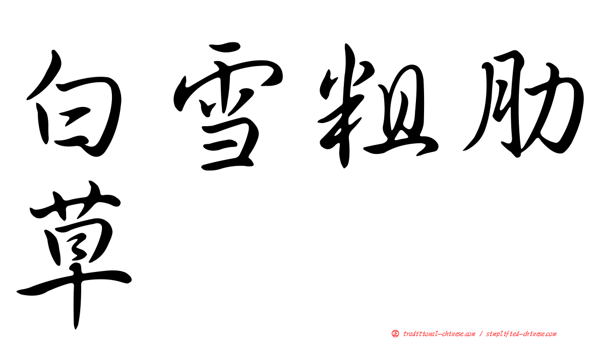 白雪粗肋草
