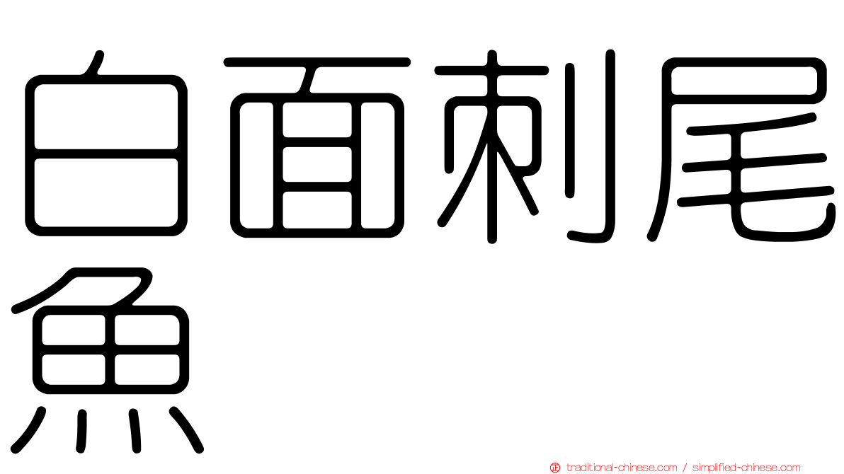 白面刺尾魚