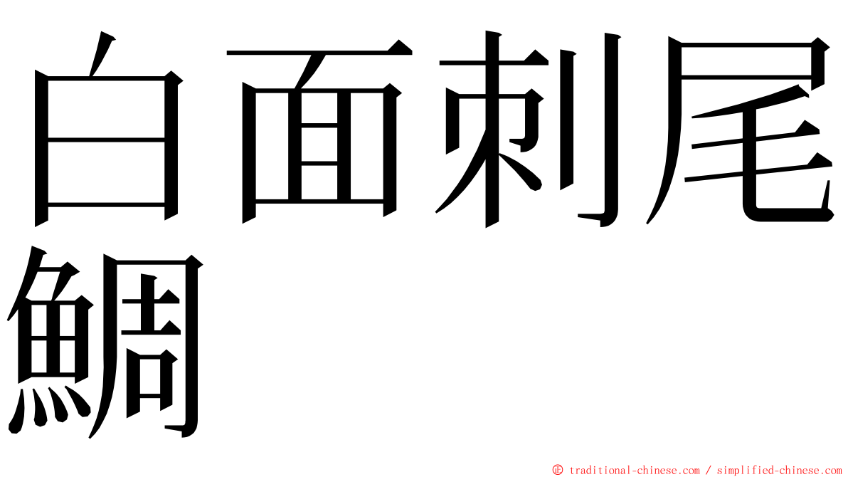 白面刺尾鯛 ming font