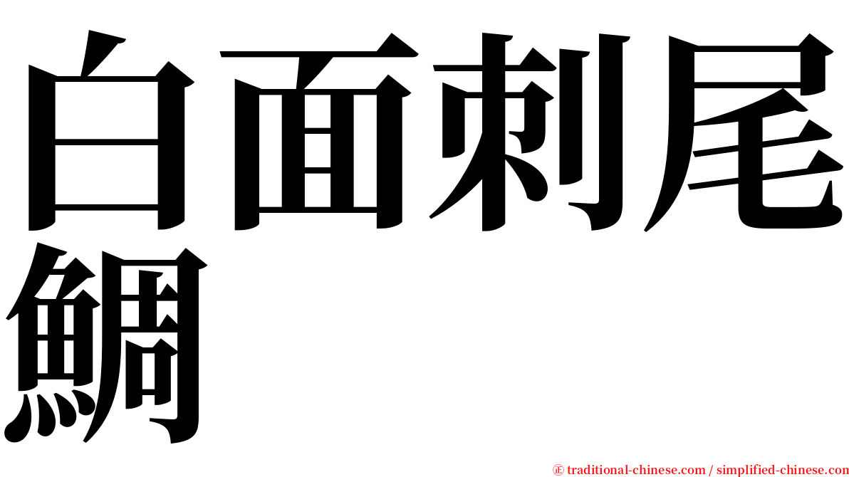白面刺尾鯛 serif font