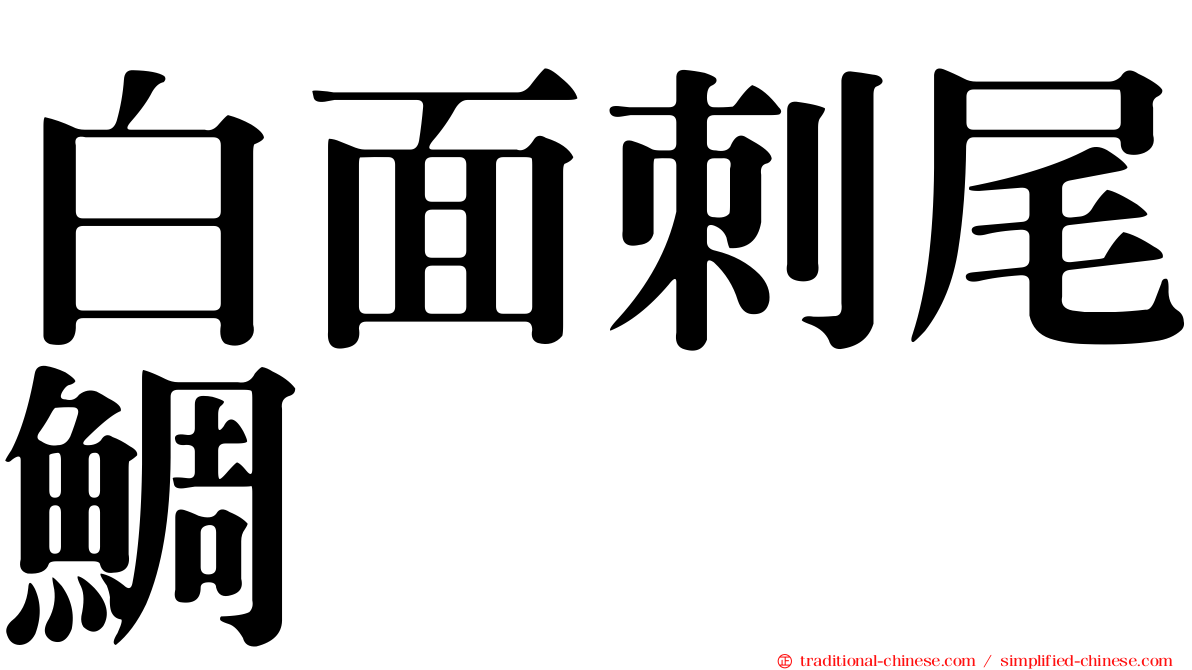 白面刺尾鯛