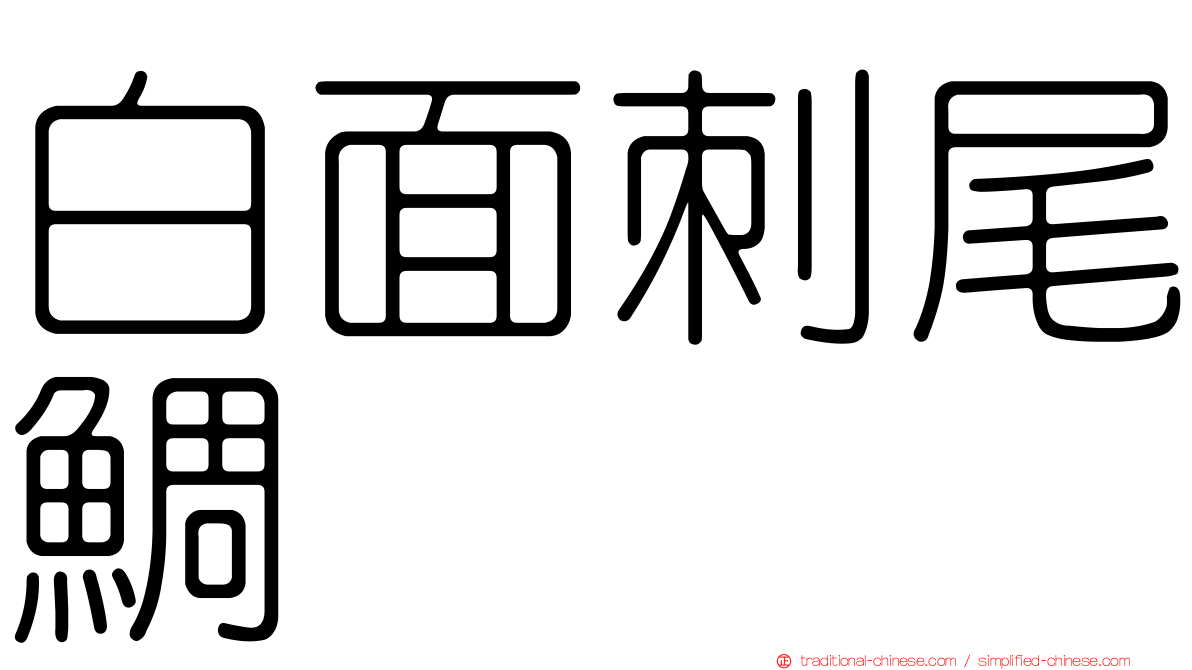 白面刺尾鯛