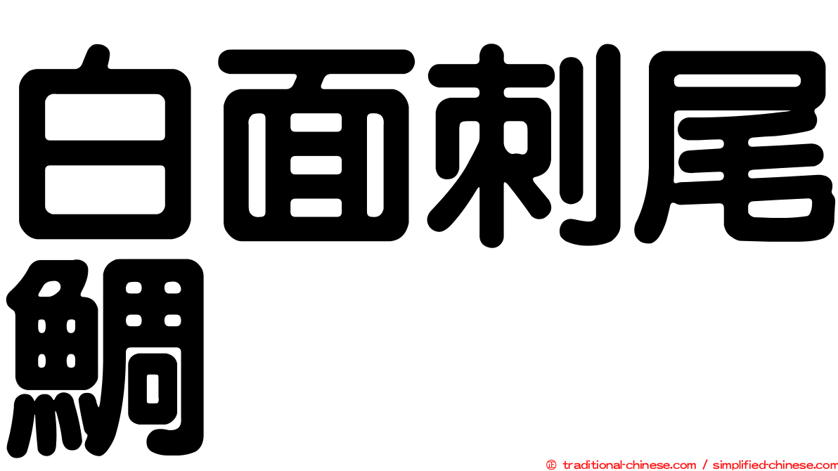 白面刺尾鯛
