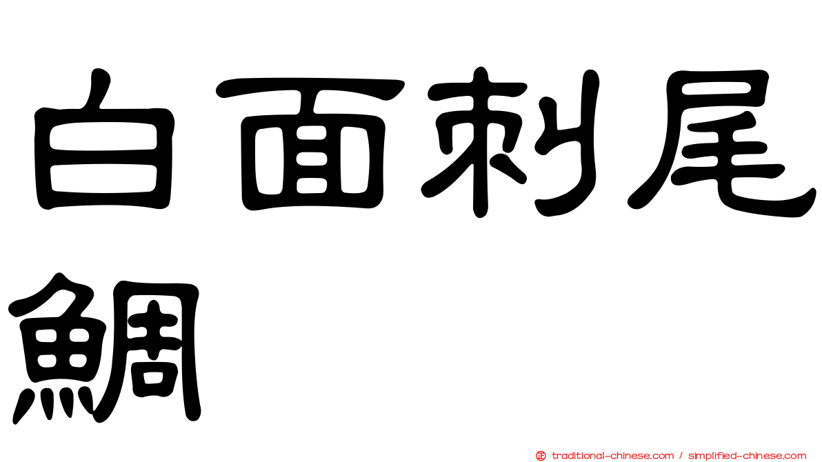 白面刺尾鯛