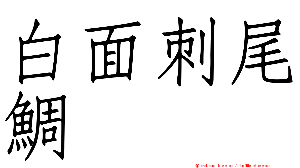 白面刺尾鯛