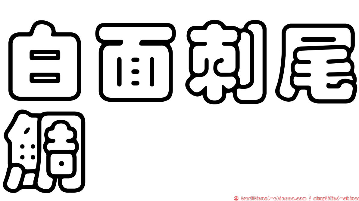 白面刺尾鯛