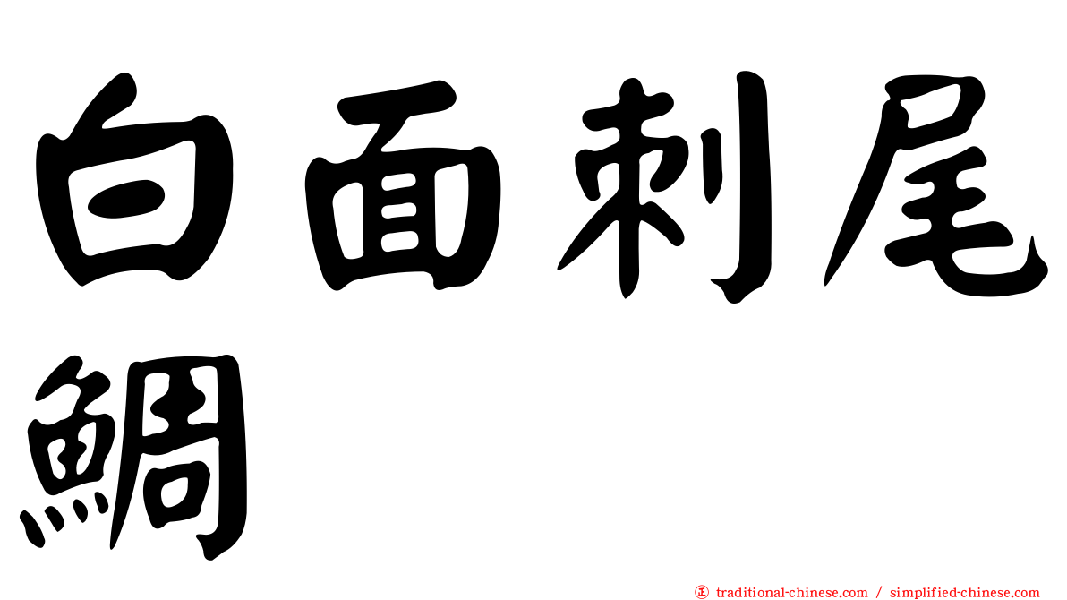 白面刺尾鯛