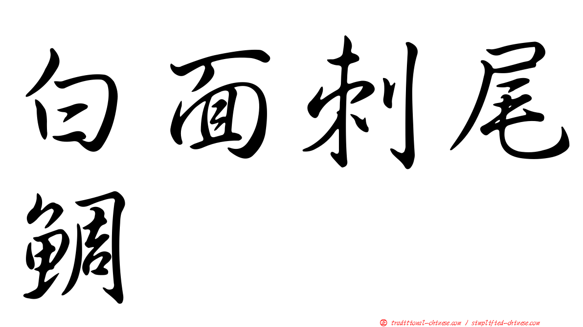 白面刺尾鯛