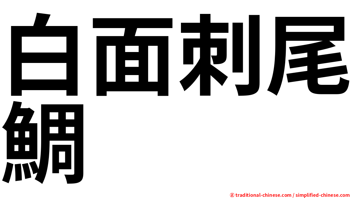 白面刺尾鯛