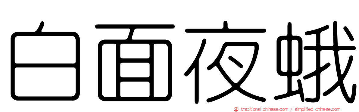 白面夜蛾