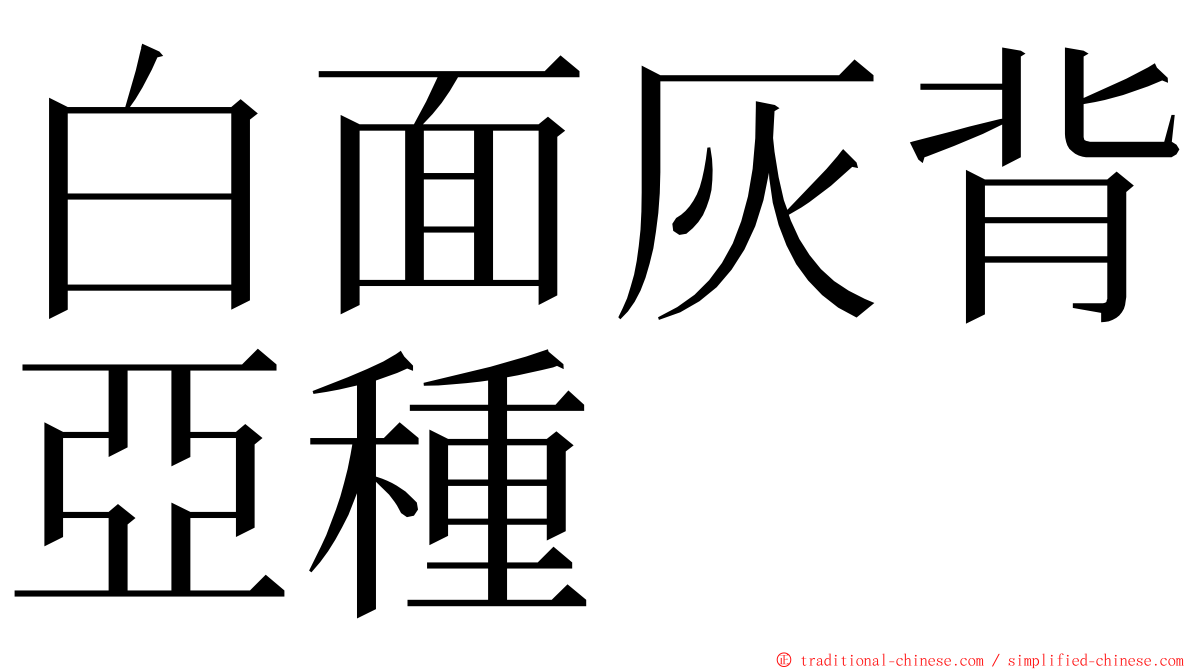 白面灰背亞種 ming font