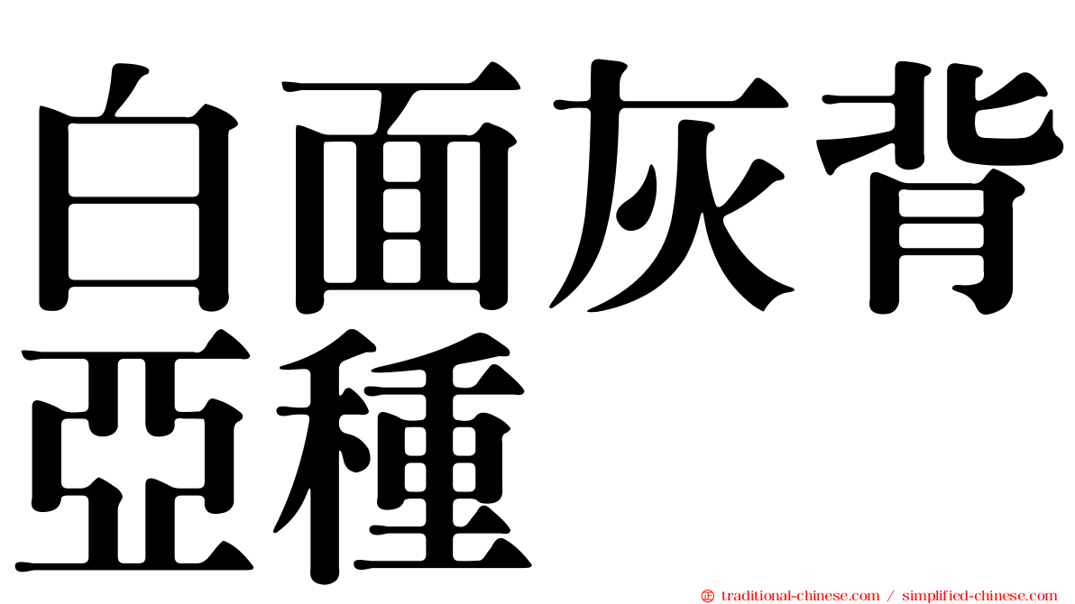 白面灰背亞種