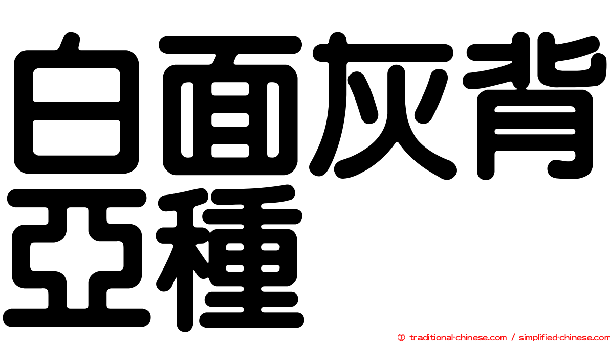 白面灰背亞種