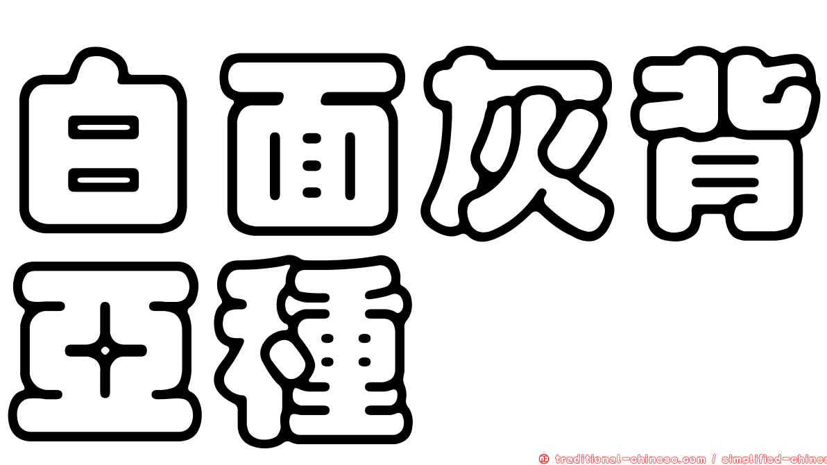 白面灰背亞種