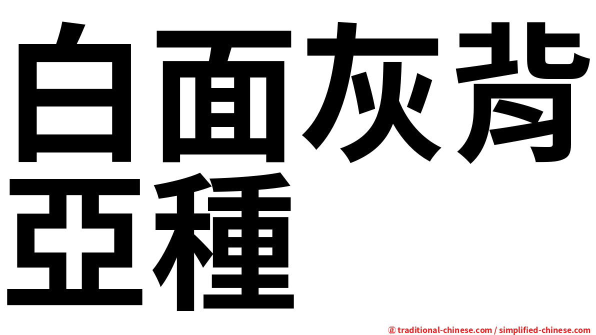 白面灰背亞種