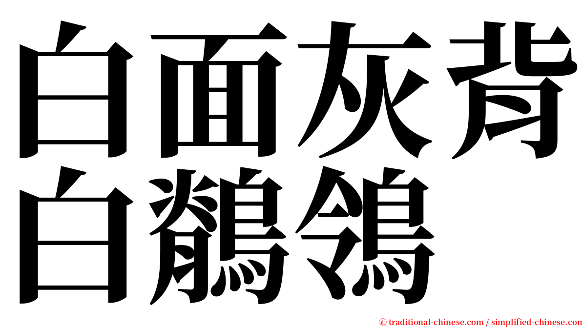 白面灰背白鶺鴒 serif font