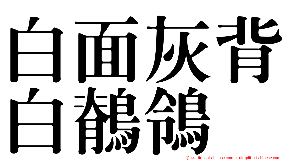 白面灰背白鶺鴒