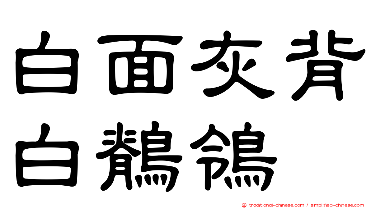 白面灰背白鶺鴒