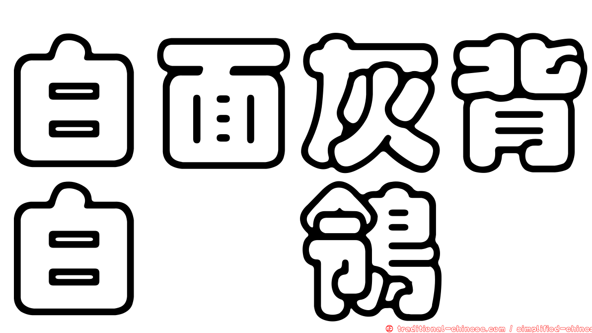 白面灰背白鶺鴒