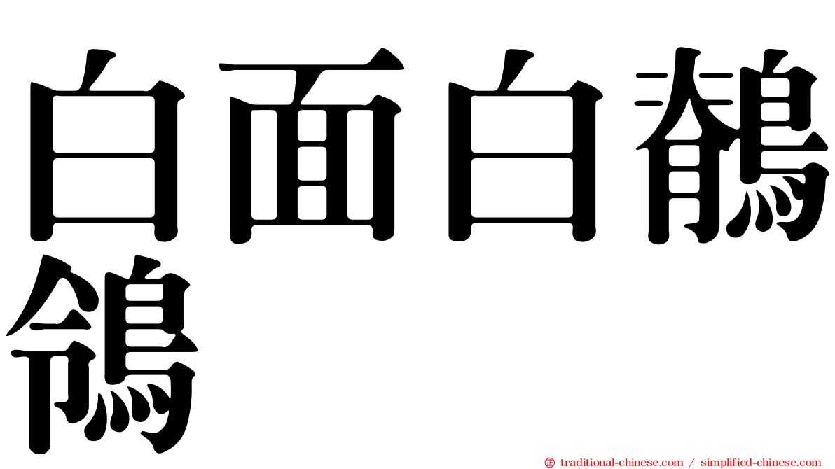 白面白鶺鴒