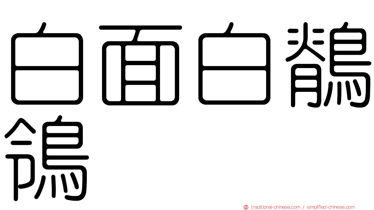 白面白鶺鴒