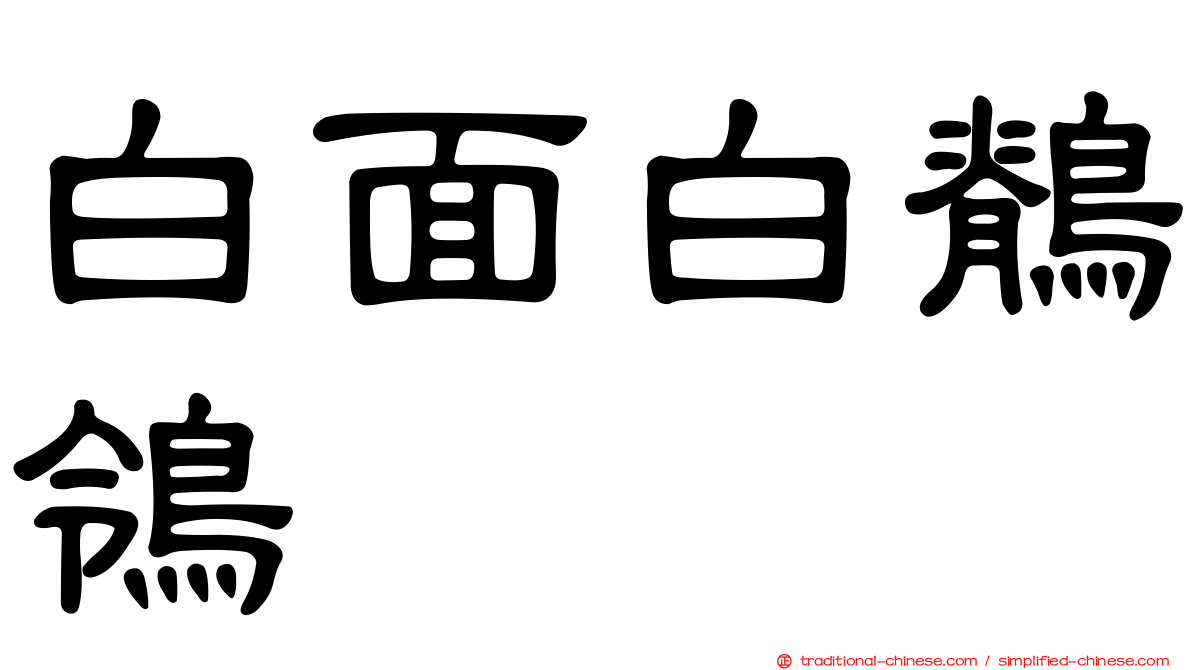 白面白鶺鴒