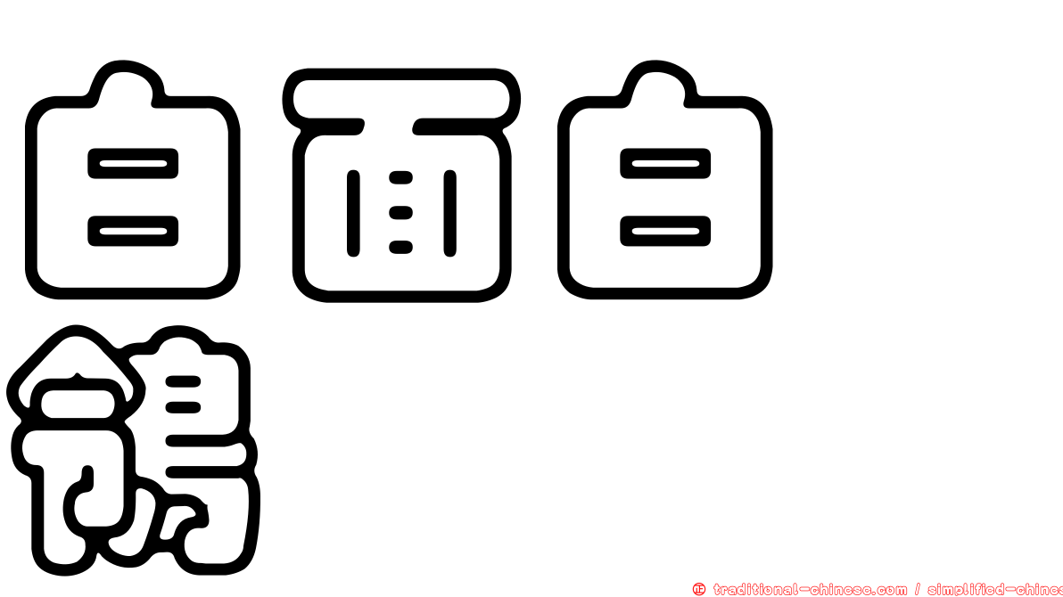 白面白鶺鴒