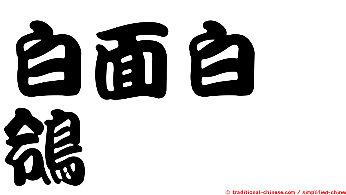 白面白鶺鴒