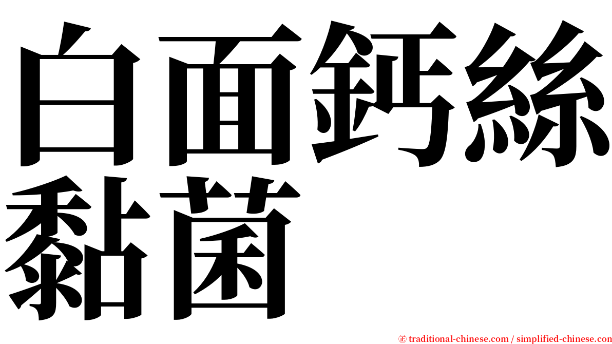 白面鈣絲黏菌 serif font