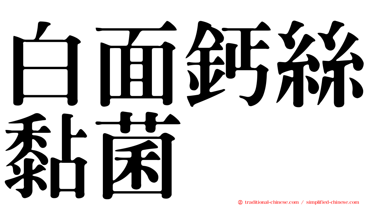 白面鈣絲黏菌