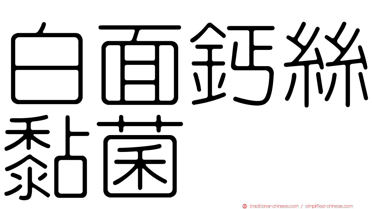 白面鈣絲黏菌
