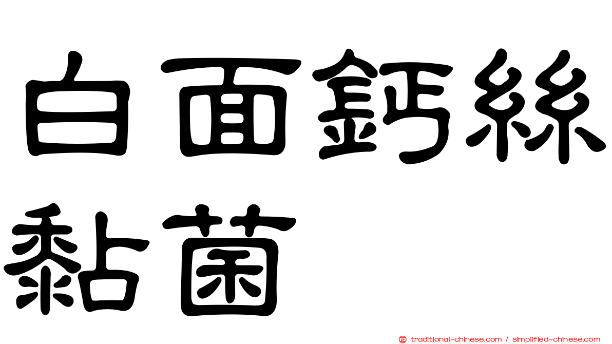 白面鈣絲黏菌