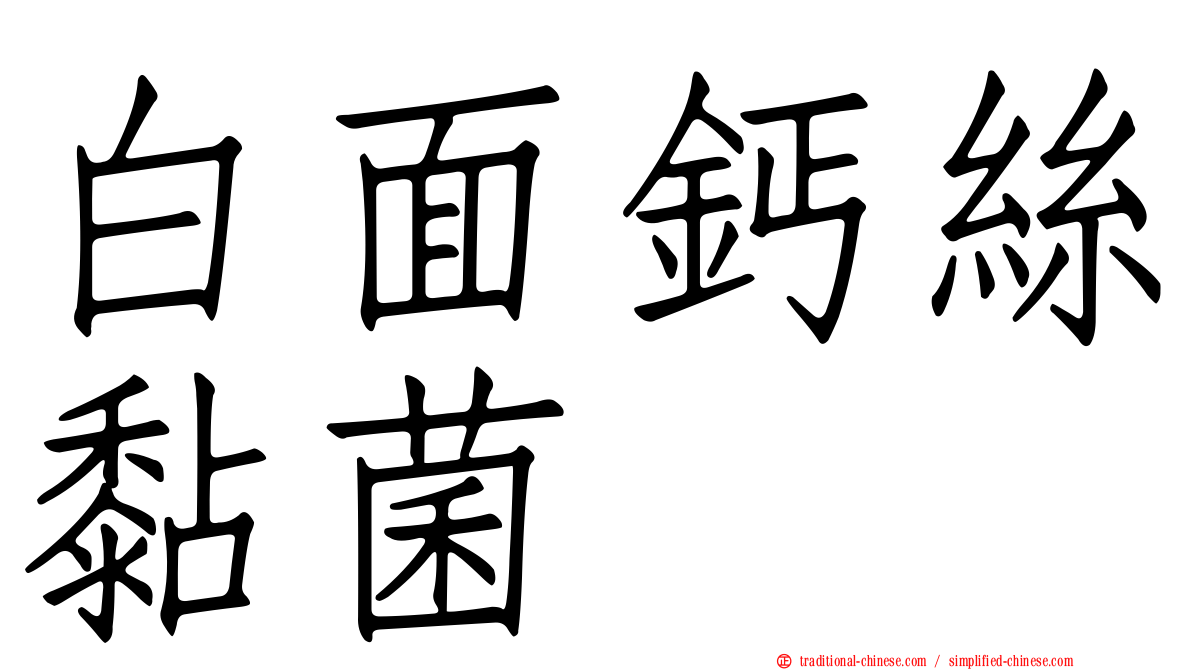 白面鈣絲黏菌