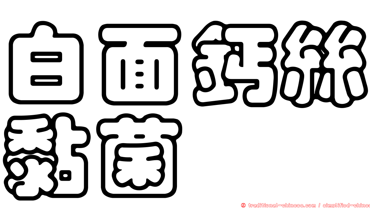 白面鈣絲黏菌