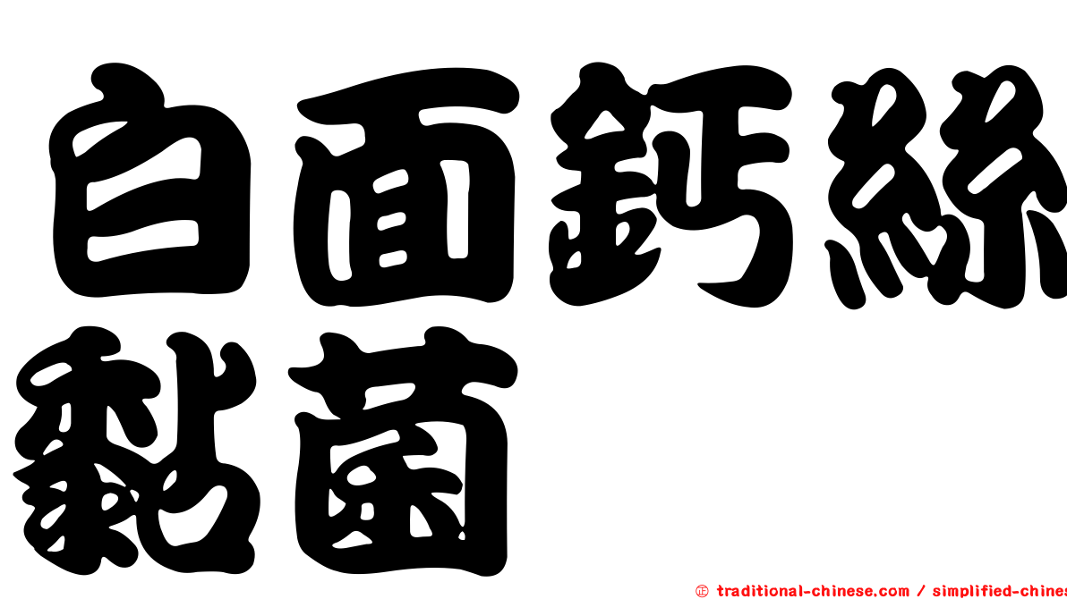 白面鈣絲黏菌