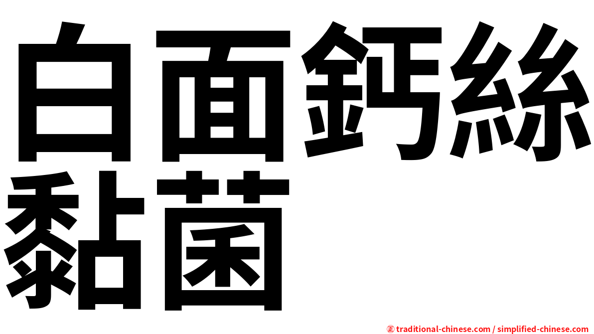 白面鈣絲黏菌
