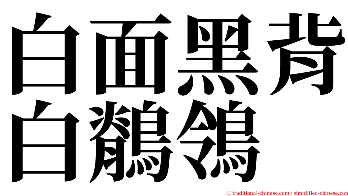 白面黑背白鶺鴒 serif font