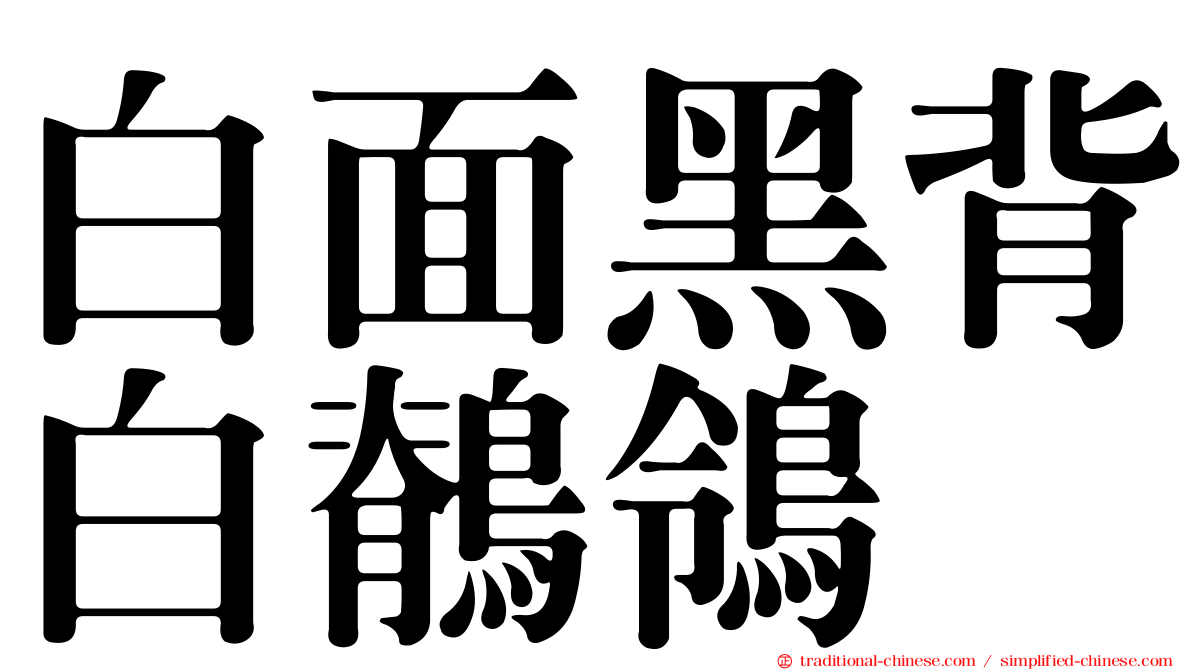 白面黑背白鶺鴒