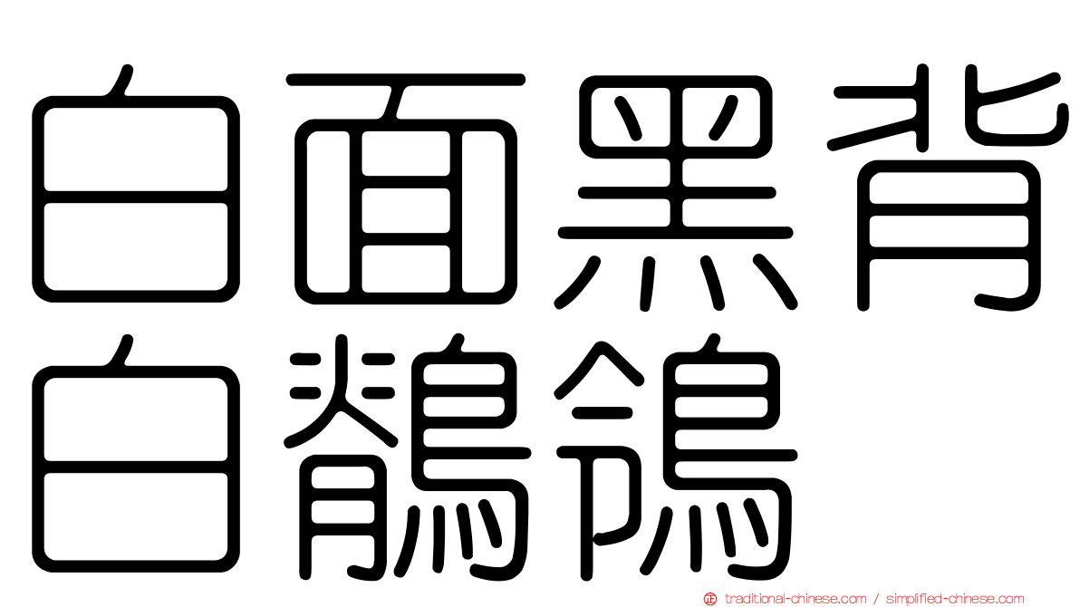 白面黑背白鶺鴒