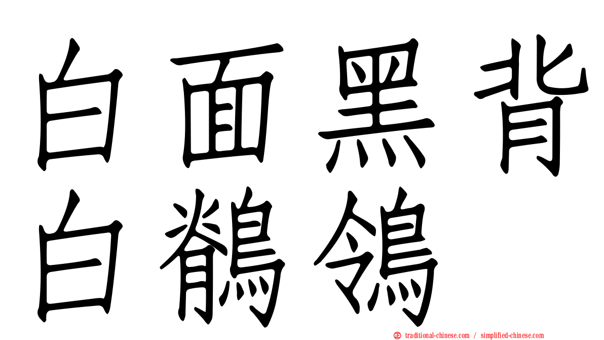 白面黑背白鶺鴒