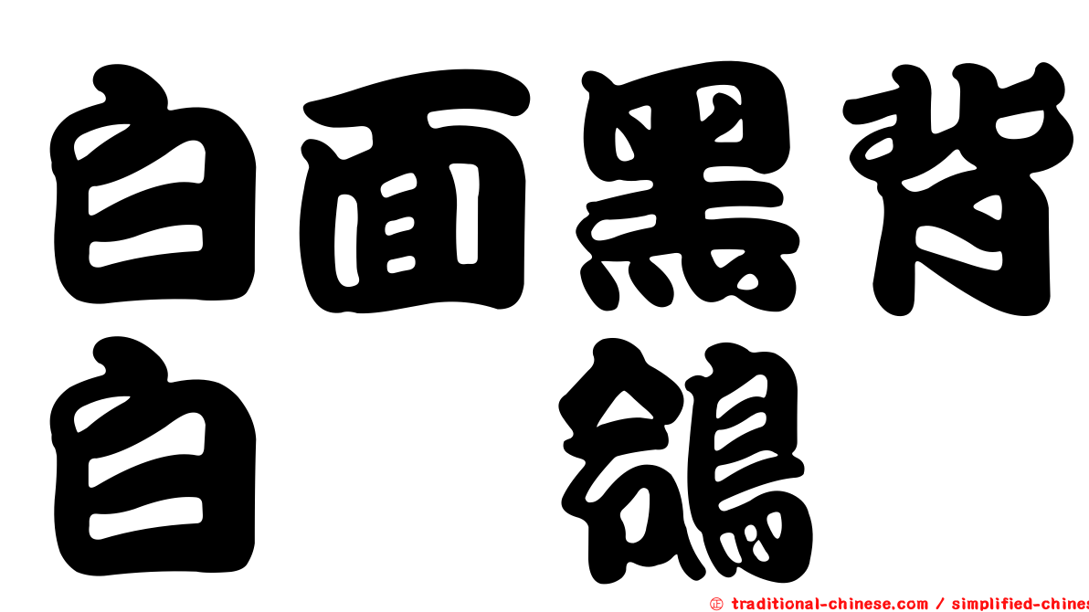 白面黑背白鶺鴒
