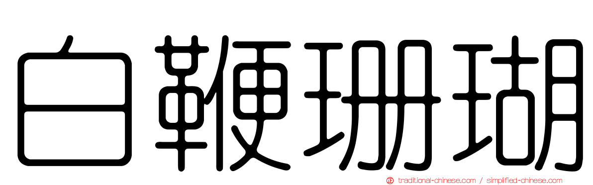 白鞭珊瑚