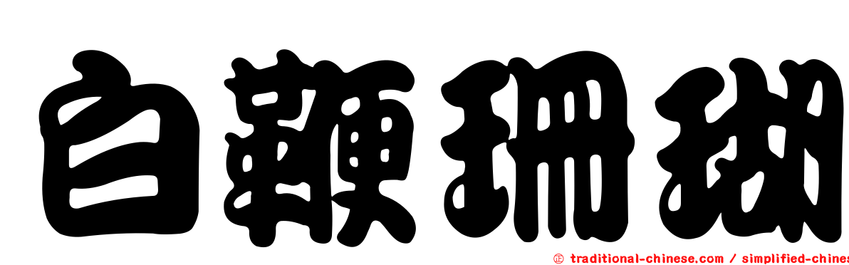 白鞭珊瑚