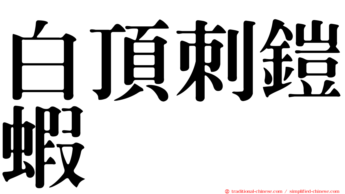 白頂刺鎧蝦