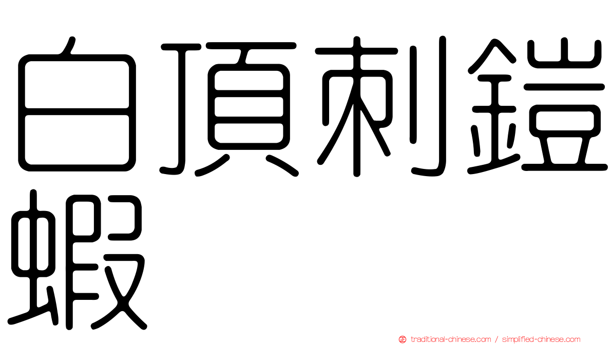 白頂刺鎧蝦