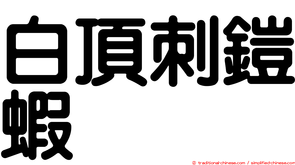 白頂刺鎧蝦