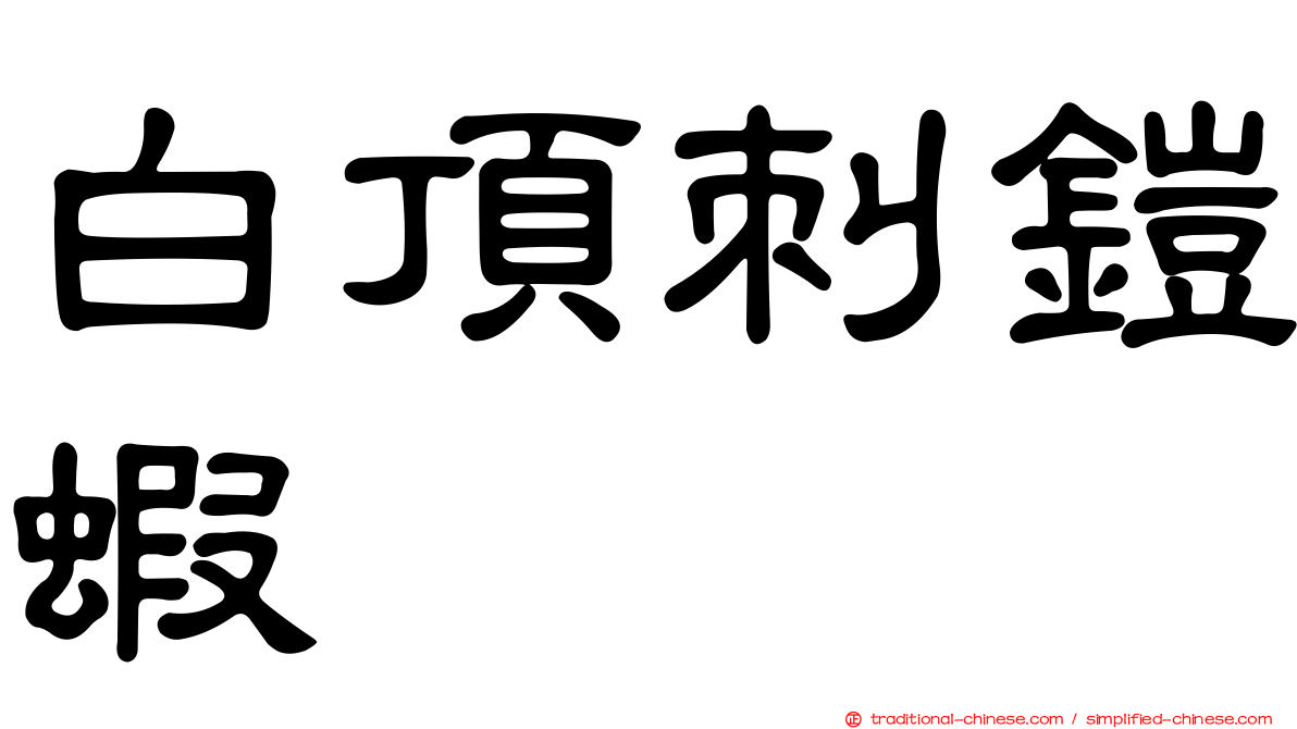 白頂刺鎧蝦