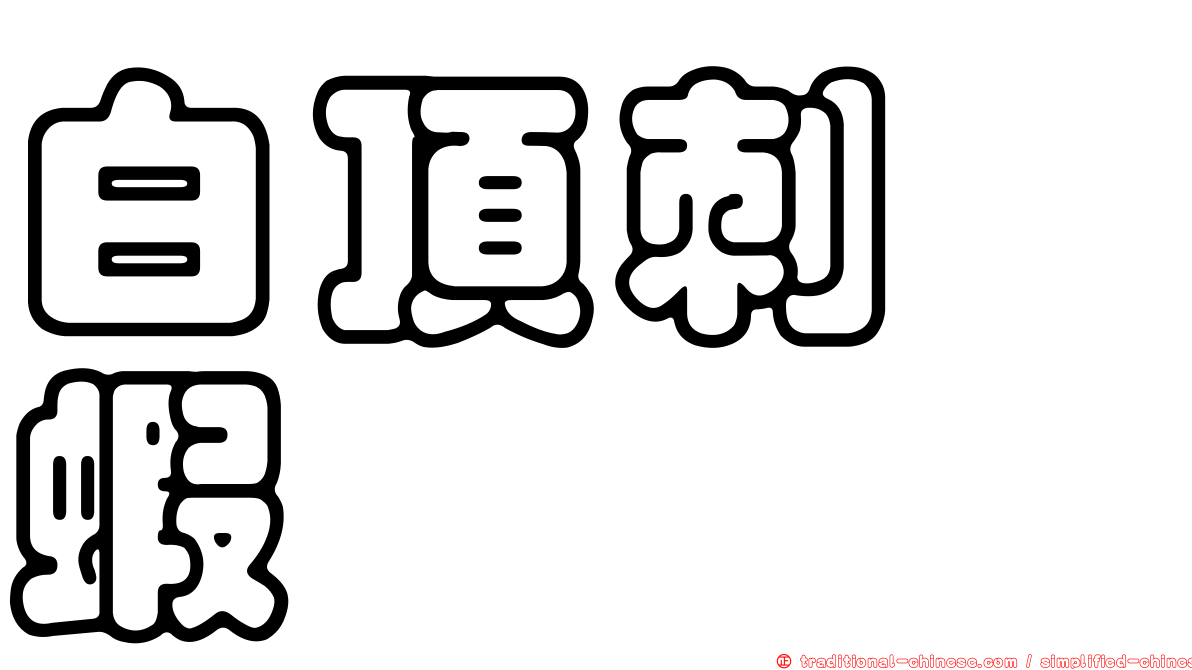 白頂刺鎧蝦